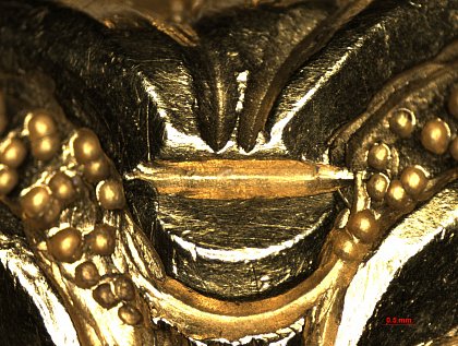 Galerie: Gombík 606/57